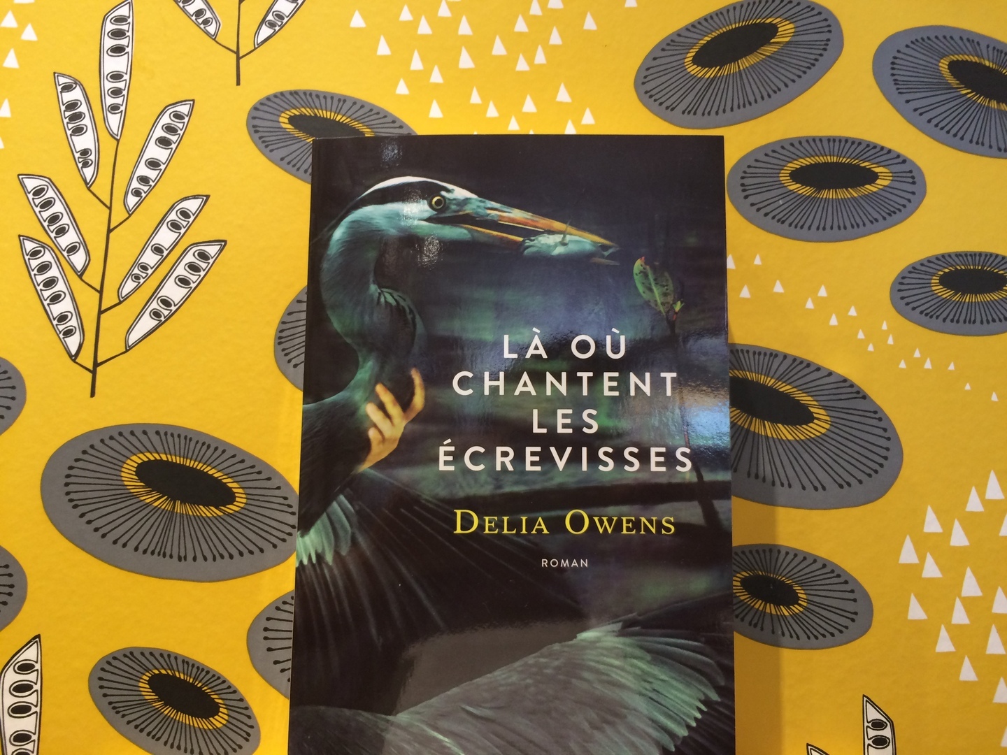 Horaires Des Séances Du Film Là Où Chantent Les écrevisses Là où chantent les écrevisses | Librairie des Marais