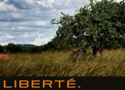 pp2026-affiche_definitive_page-0001-d4444