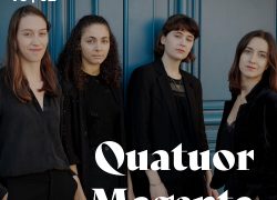 quatuor-magenta